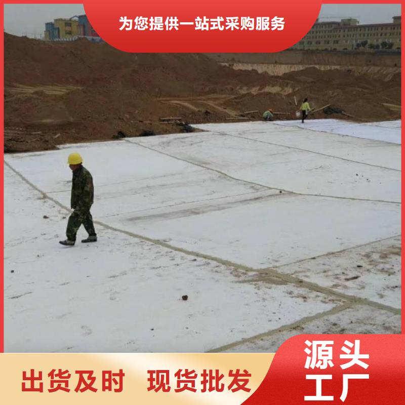 防水毯多向塑料土工格栅量少也做
