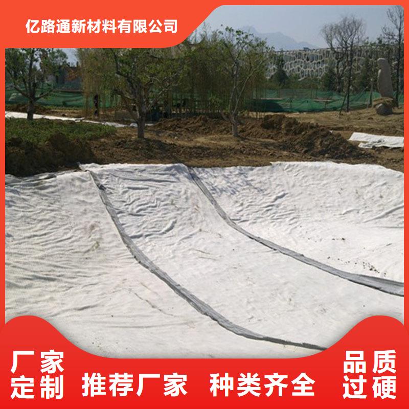防水毯多向塑料土工格栅量少也做