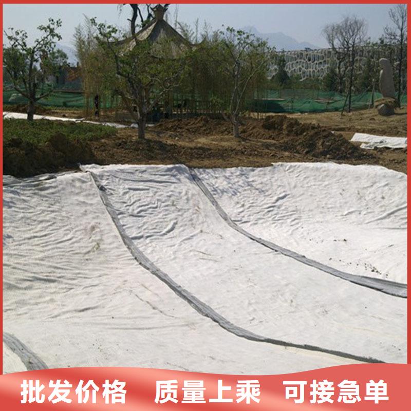 防水毯膨润土防水毯产地厂家直销