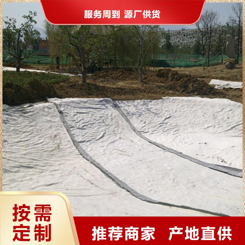 【防水毯三维水土保护毯省心又省钱】