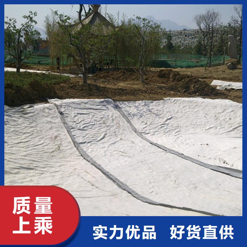 防水毯-硬式透水管长期供应