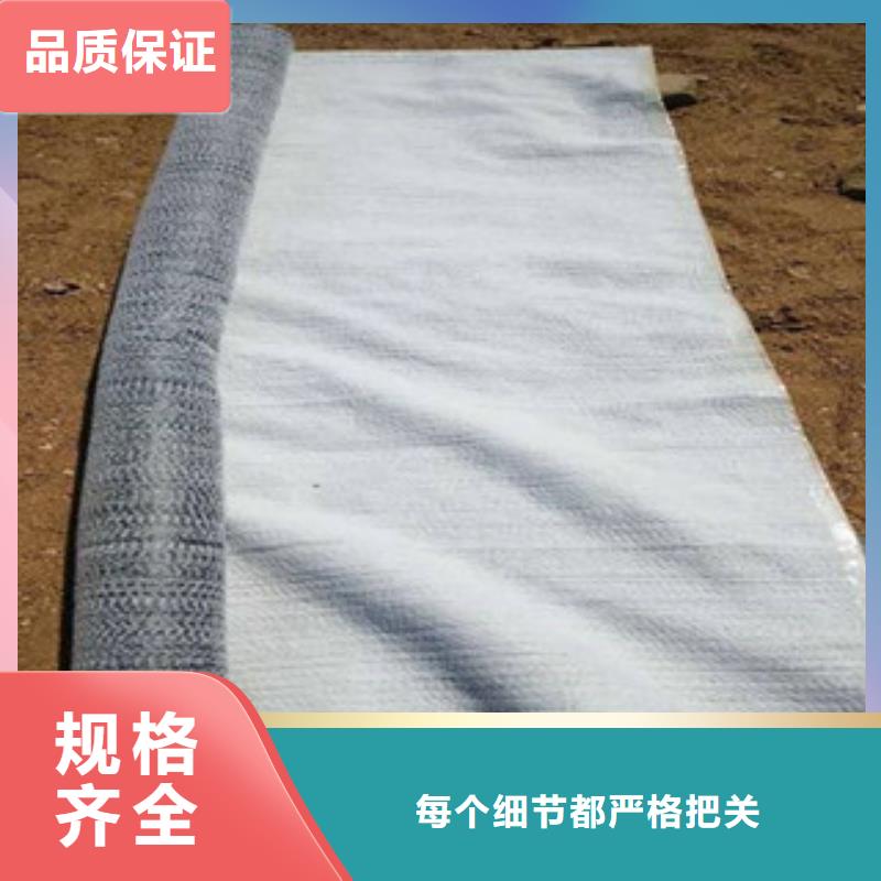 防水毯双向塑料土工格栅工艺精细质保长久
