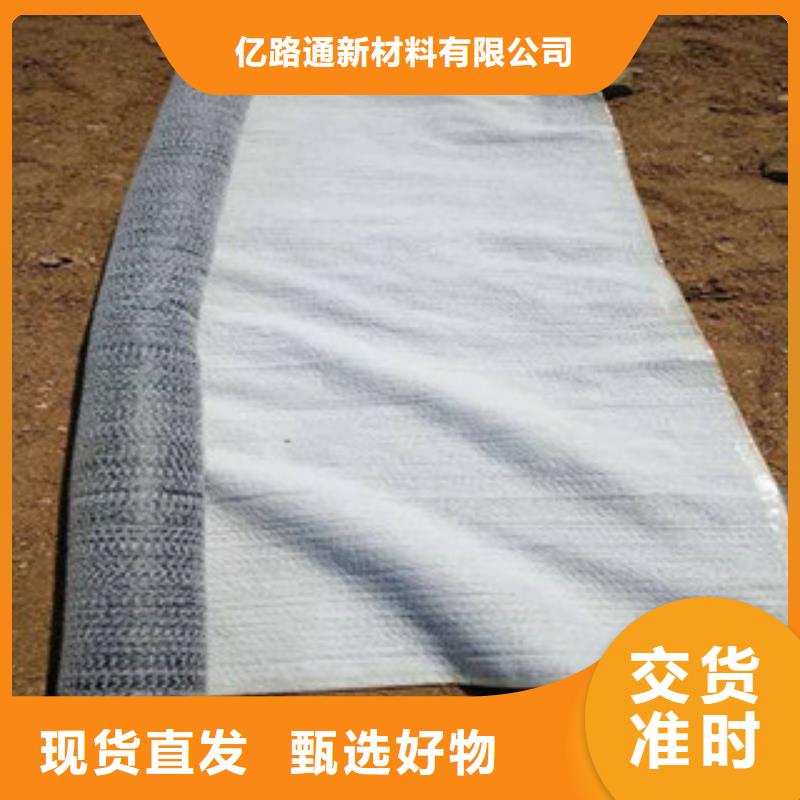 防水毯多向塑料土工格栅量少也做