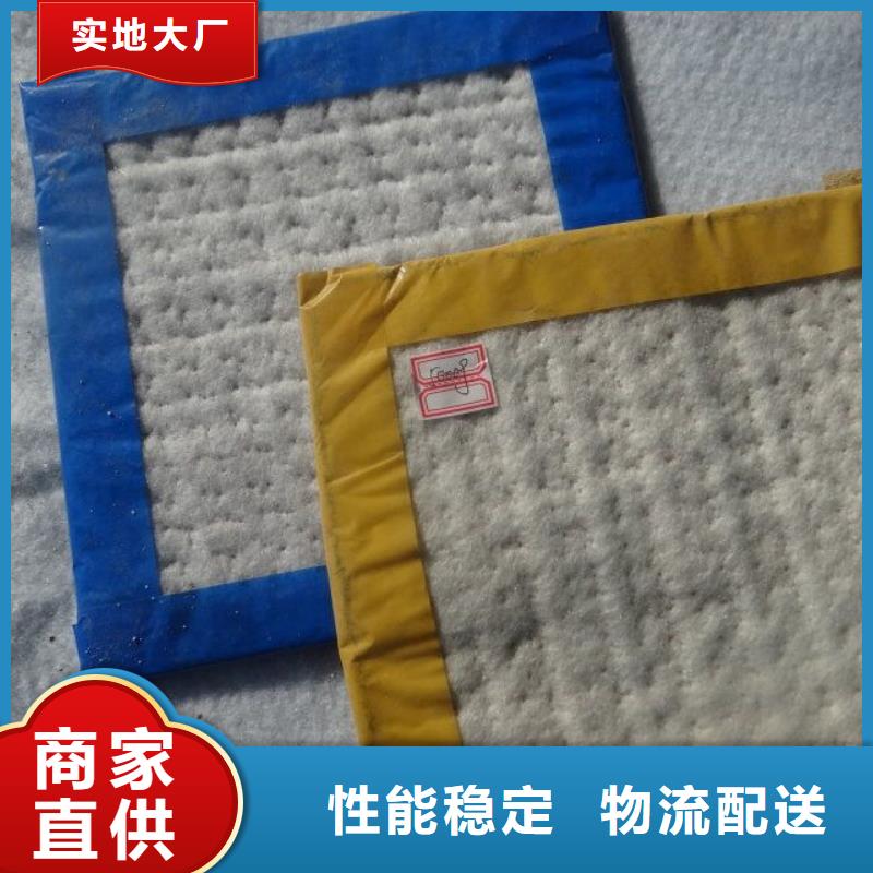 防水毯,双向塑料土工格栅今日价格