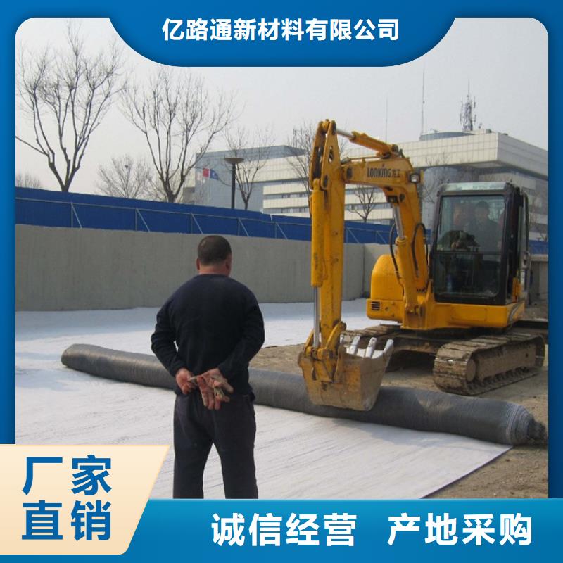 防水毯【单向塑料土工格栅】拒绝伪劣产品