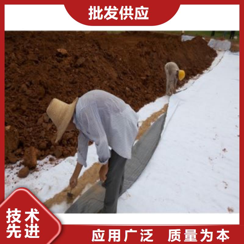 防水毯多向塑料土工格栅量少也做