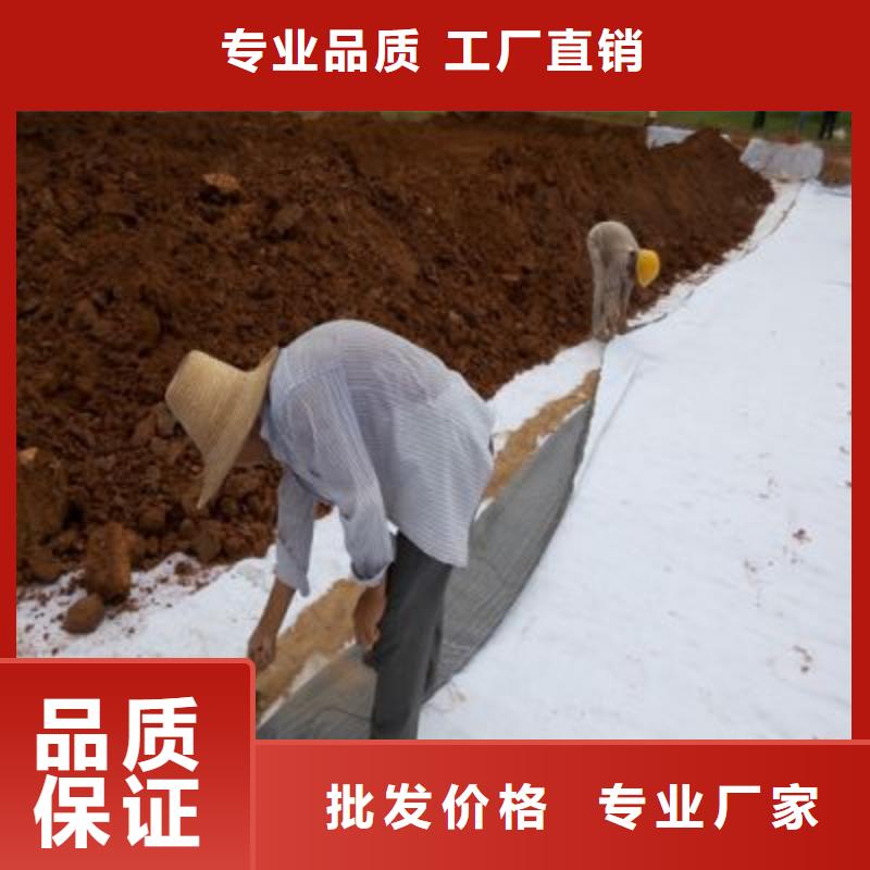 防水毯双向塑料土工格栅工艺精细质保长久