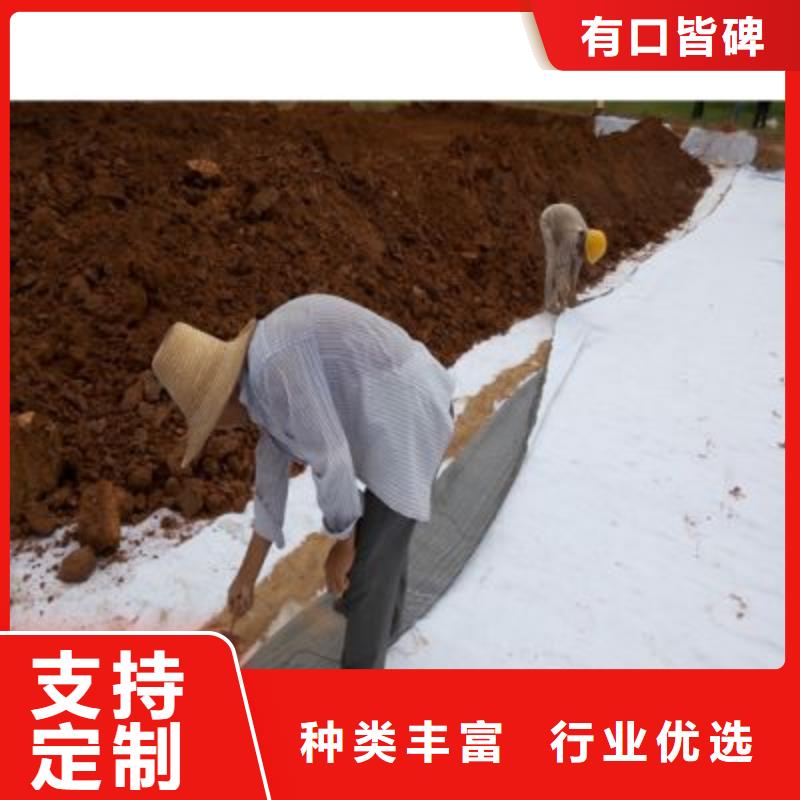 防水毯双向塑料土工格栅工艺精细质保长久
