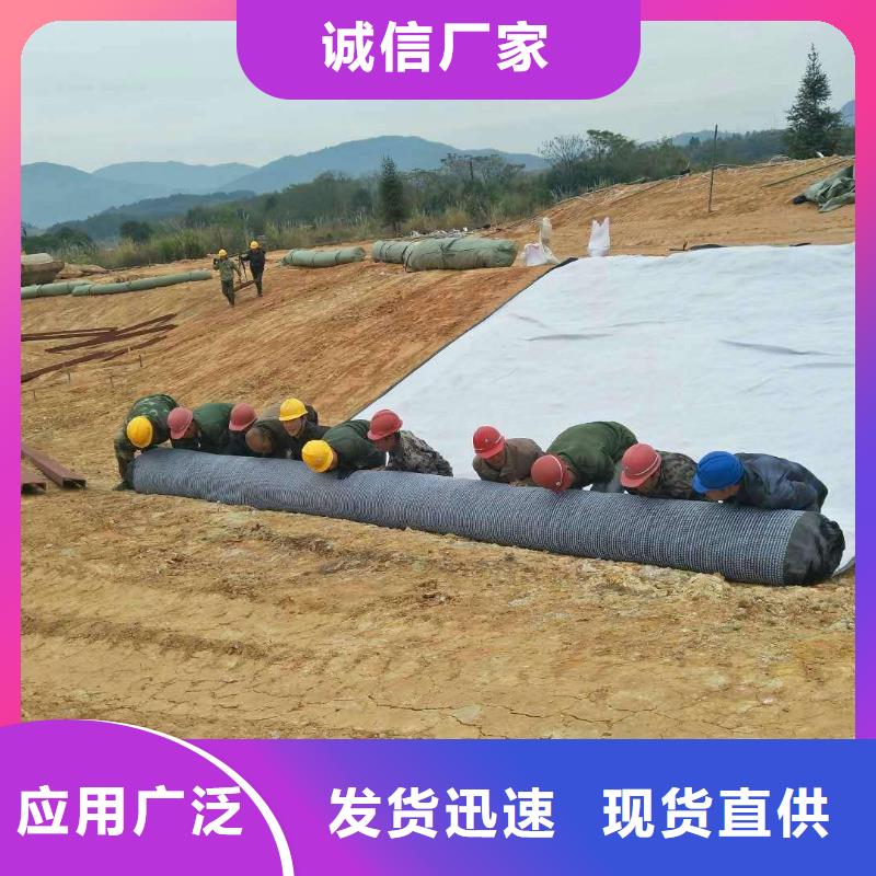 防水毯多向塑料土工格栅量少也做