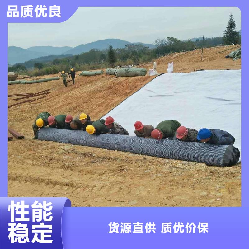 防水毯双向塑料土工格栅工艺精细质保长久