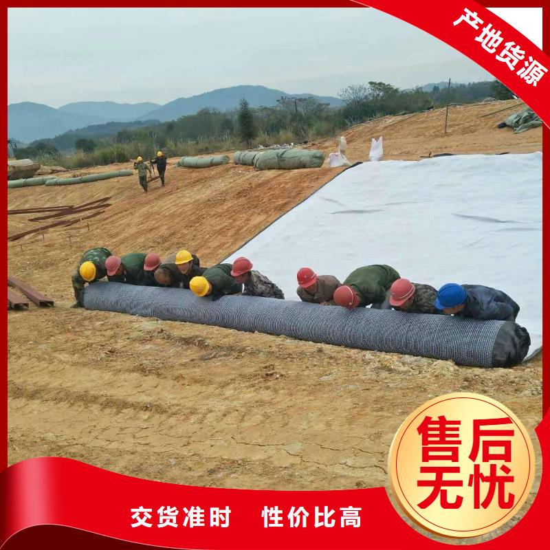 防水毯【单向塑料土工格栅】拒绝伪劣产品