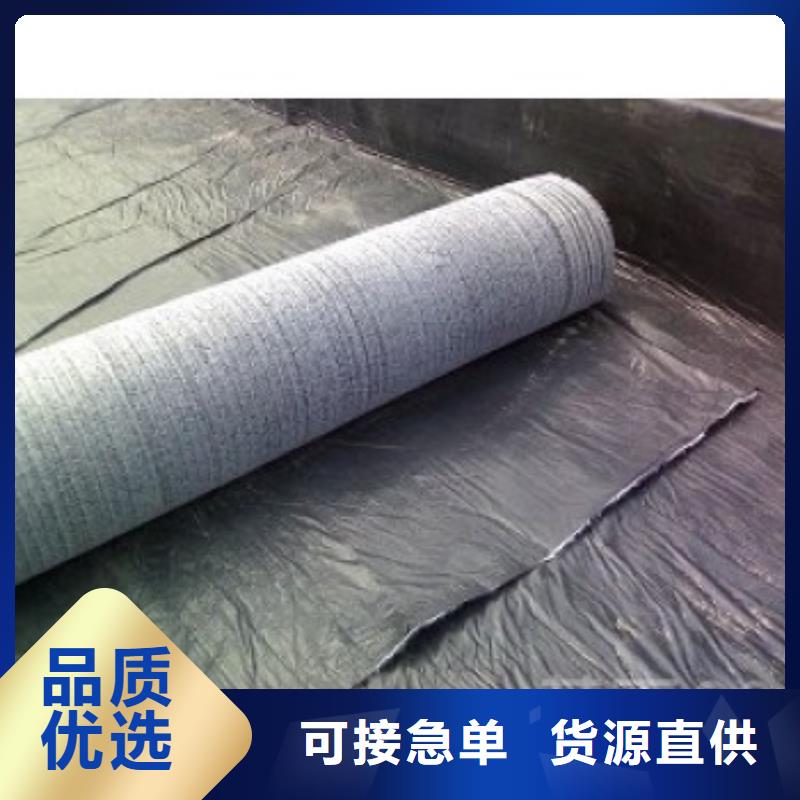 防水毯【单向塑料土工格栅】拒绝伪劣产品