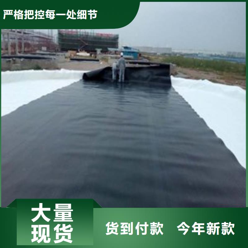 【土工膜-防水土工布厂家厂家直销】