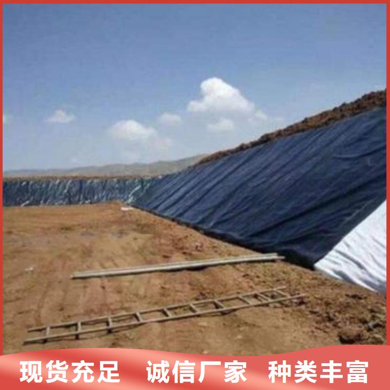 土工膜土工席垫专业生产制造厂