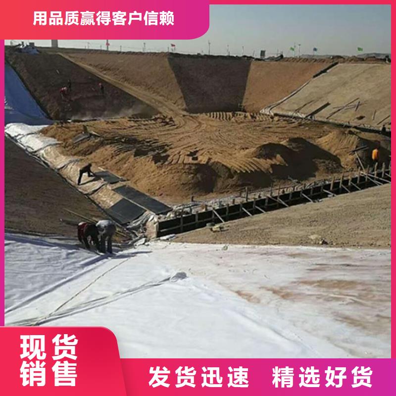 土工膜现货买卖-防水-防渗