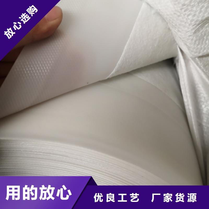 土工膜钢塑土工格栅厂家专注细节更放心