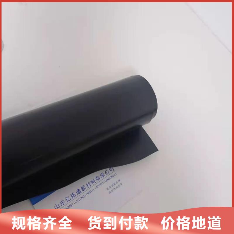 土工膜钢塑土工格栅厂家货源直供