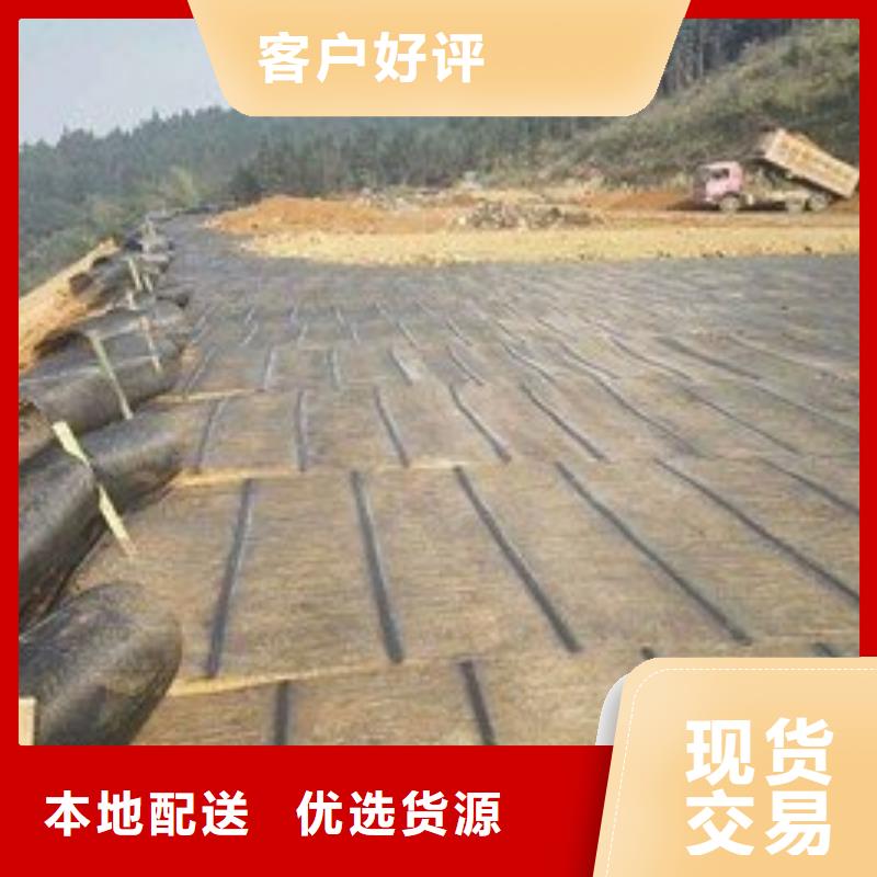 土工格栅三维植被网厂家一周内发货