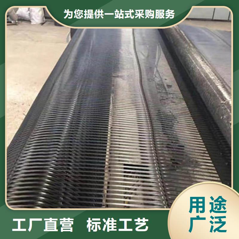 土工格栅厂家