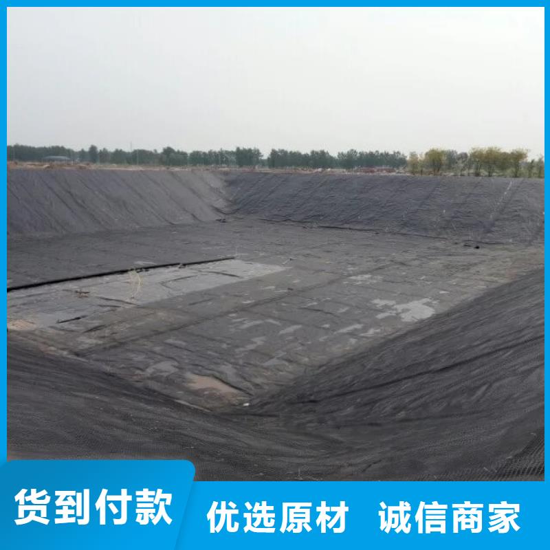 【土工格栅土工膜工厂现货供应】