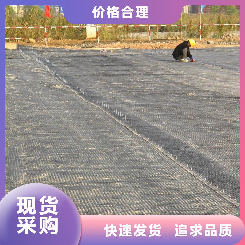 保亭县玻纤土工格栅_钢塑土工格栅_塑料土工格栅厂家直销
