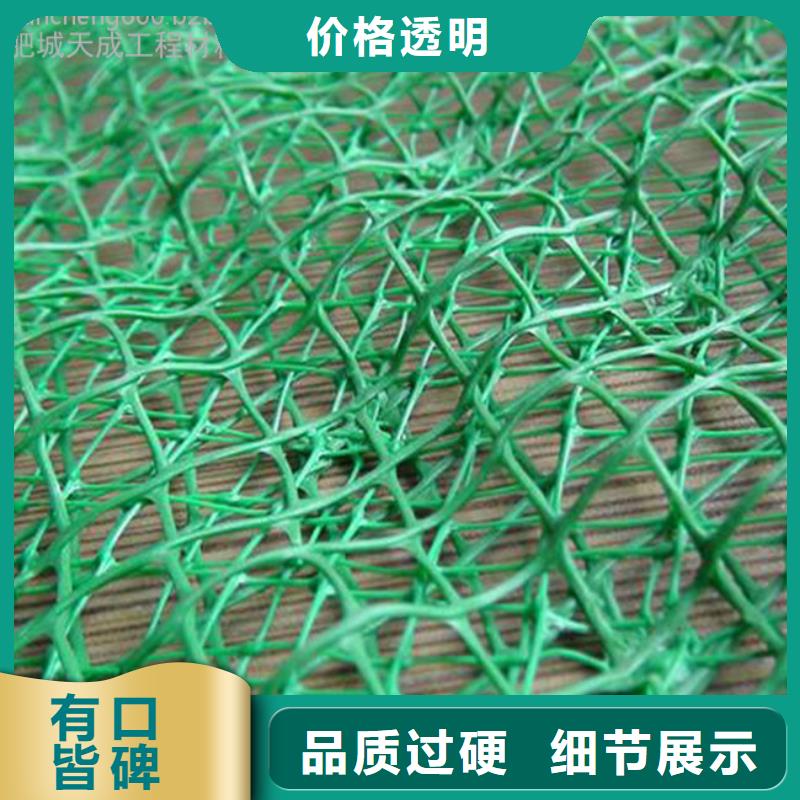 三维植被网2025发售价多少EM4三维土工植被网批发价格三维土工网垫——三维植被网2025年价格表