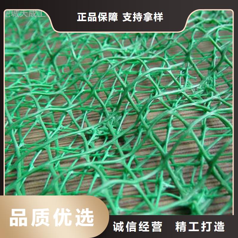 三维植被网双向塑料土工格栅应用广泛