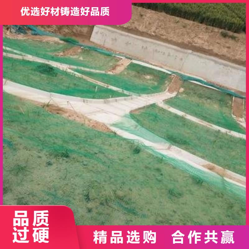 EM3三维植被网护坡造价-边坡护坡网