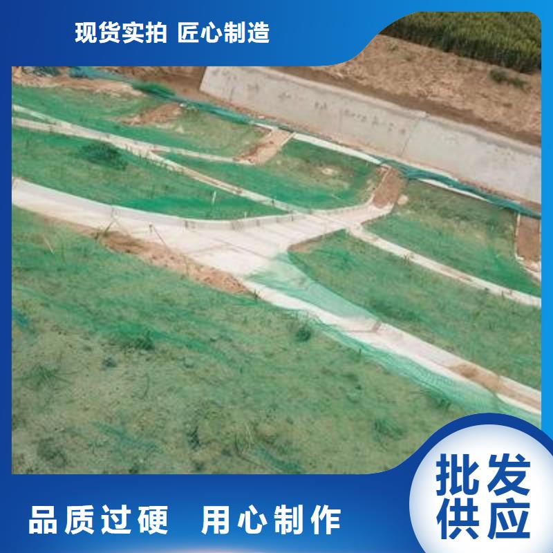 【三维植被网三维水土保护毯品牌大厂家】