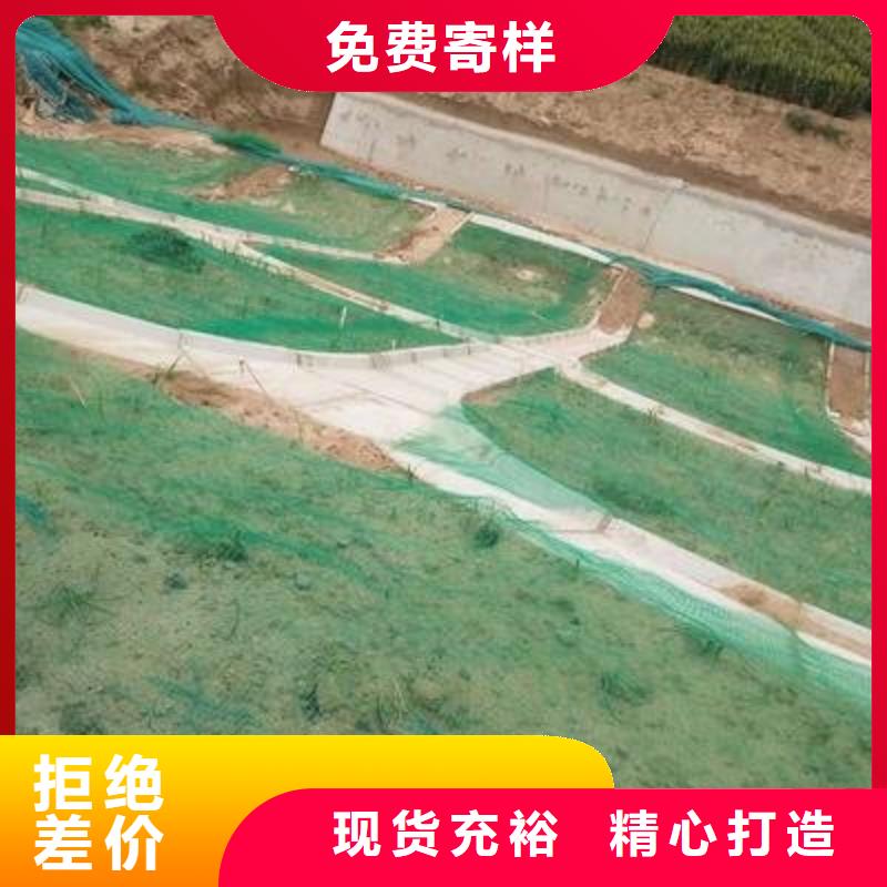 专业植草三维植被网_厂家直销_质优价廉