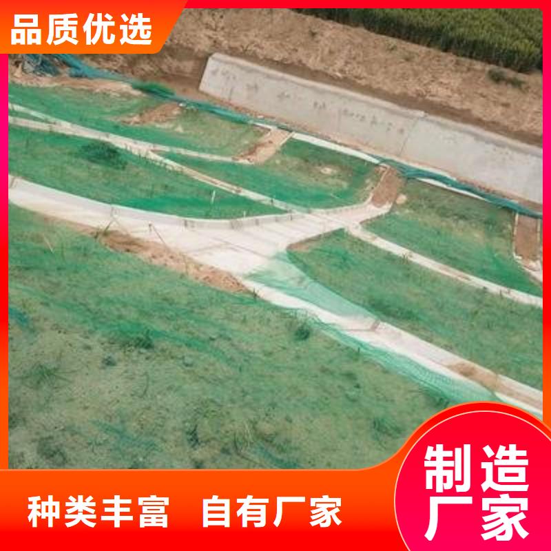 三维植被网复合土工膜专业生产设备