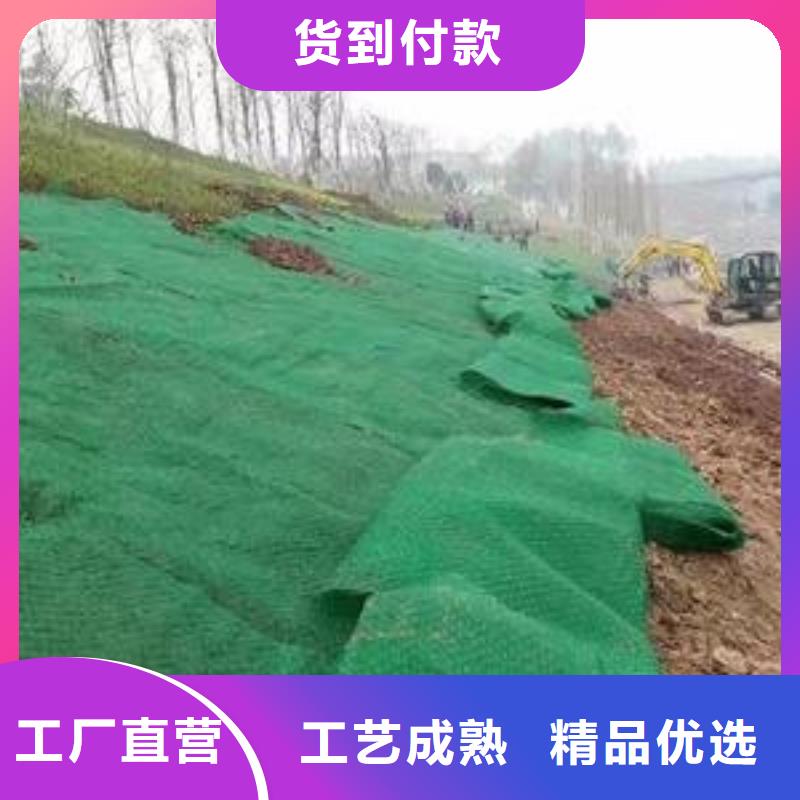 护坡种草三维植被网生产厂家收费标准