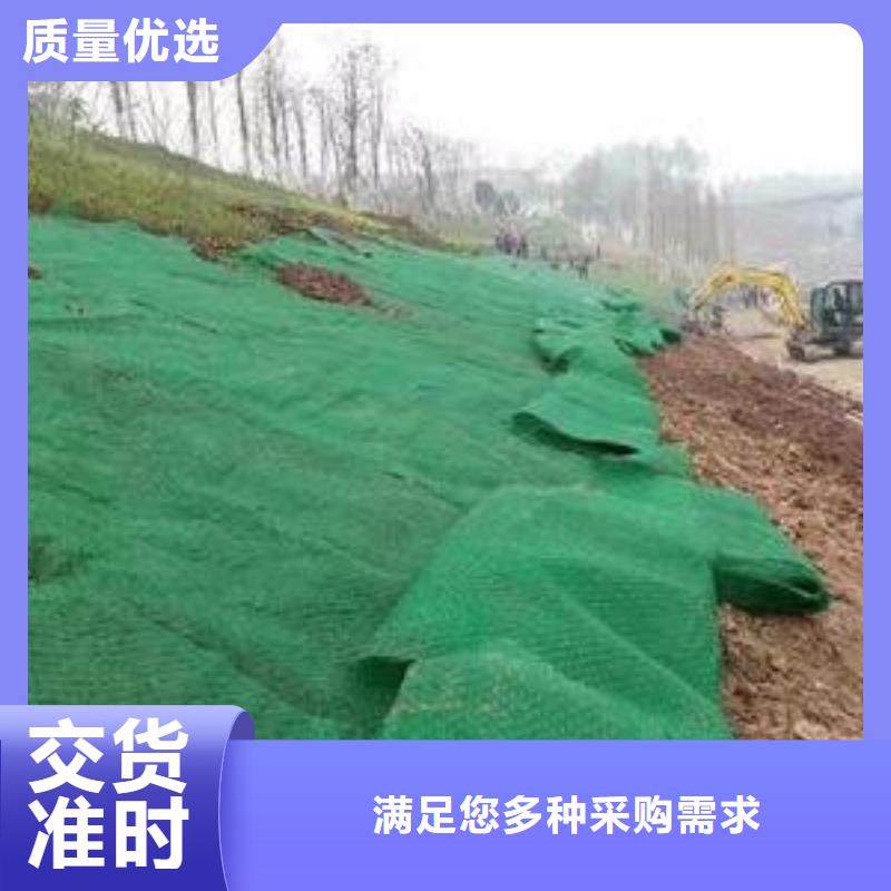 三维植被网规格型号_全国供应