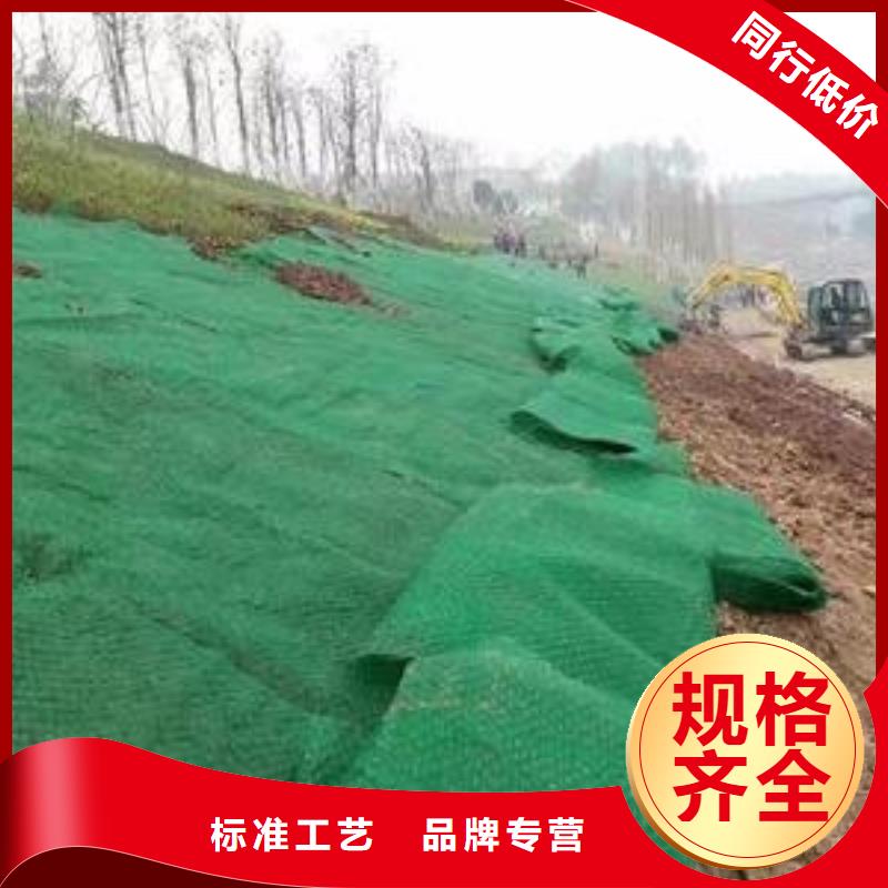三维土工网垫_三维植被网2025年价格表