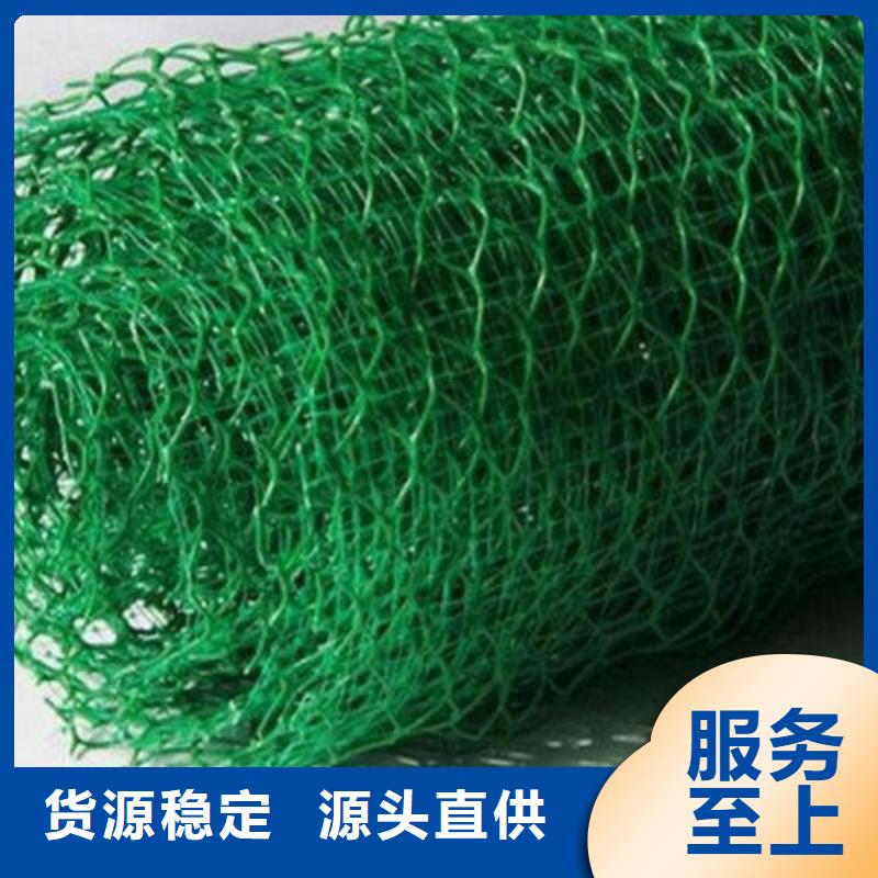三维植被网三维植被网厂家多种规格供您选择