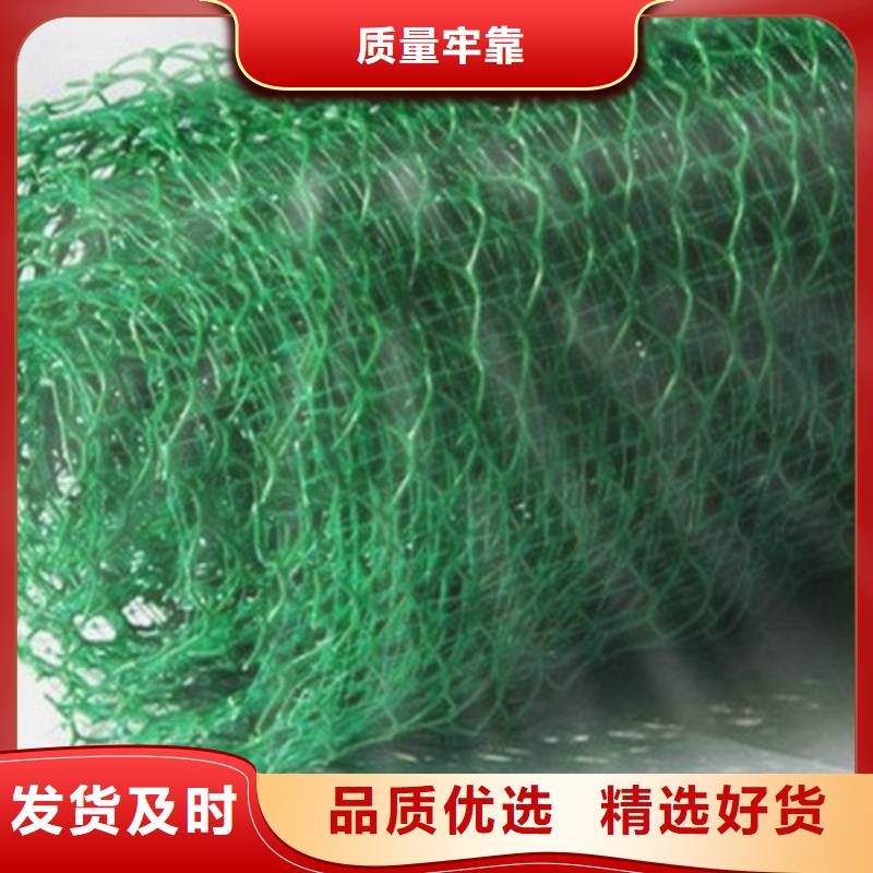 三维土工网垫_三维植被网2025年价格表