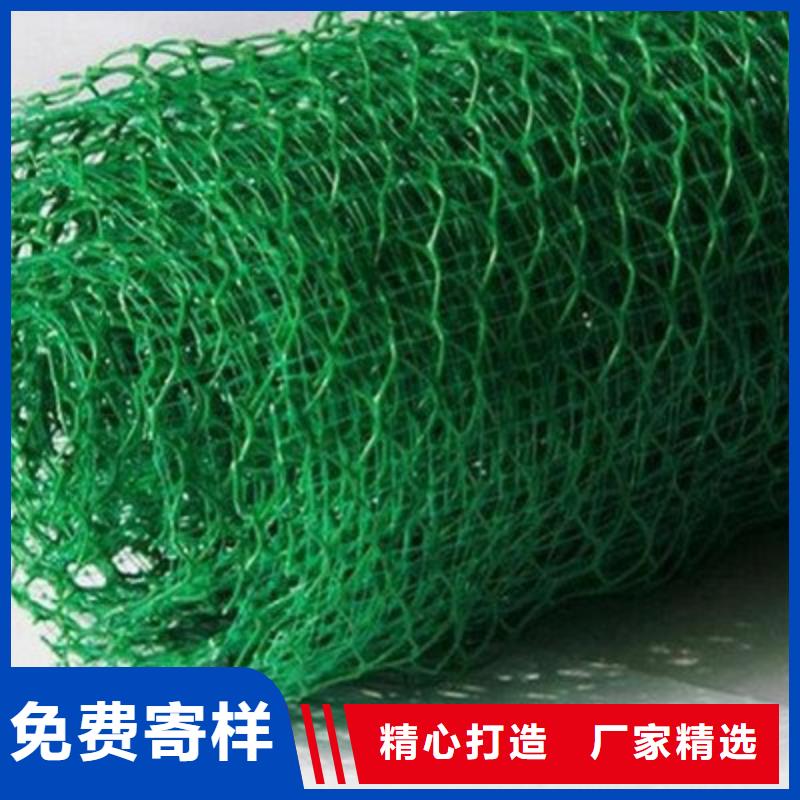 三维植被网施工图片-可定制生产