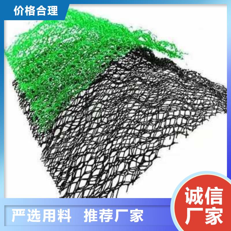 三维植被网2025发售价多少EM4三维土工植被网批发价格三维土工网垫——三维植被网2025年价格表