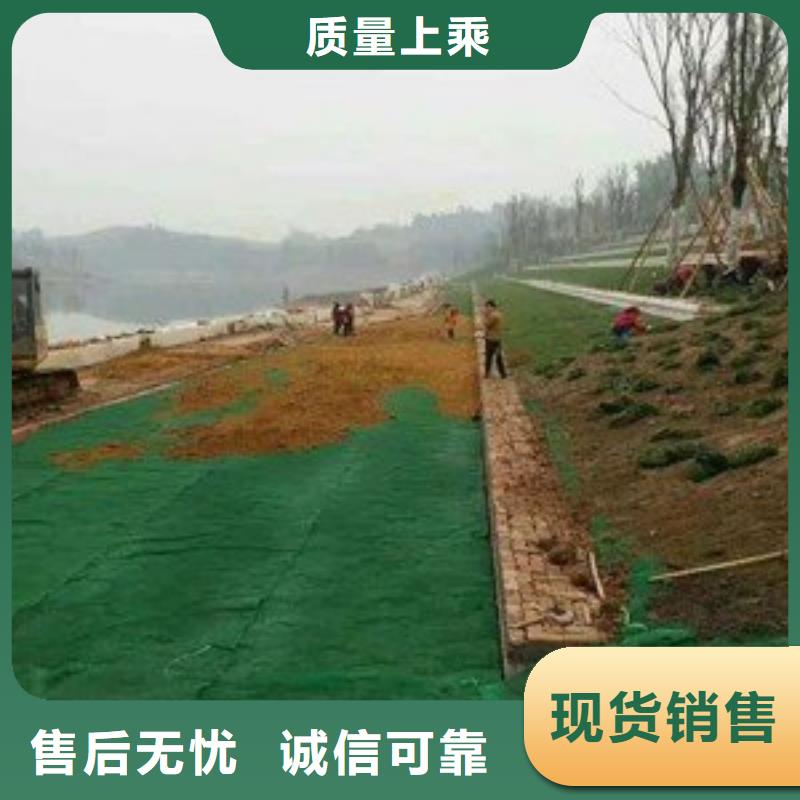 三维植被网规格型号_全国供应