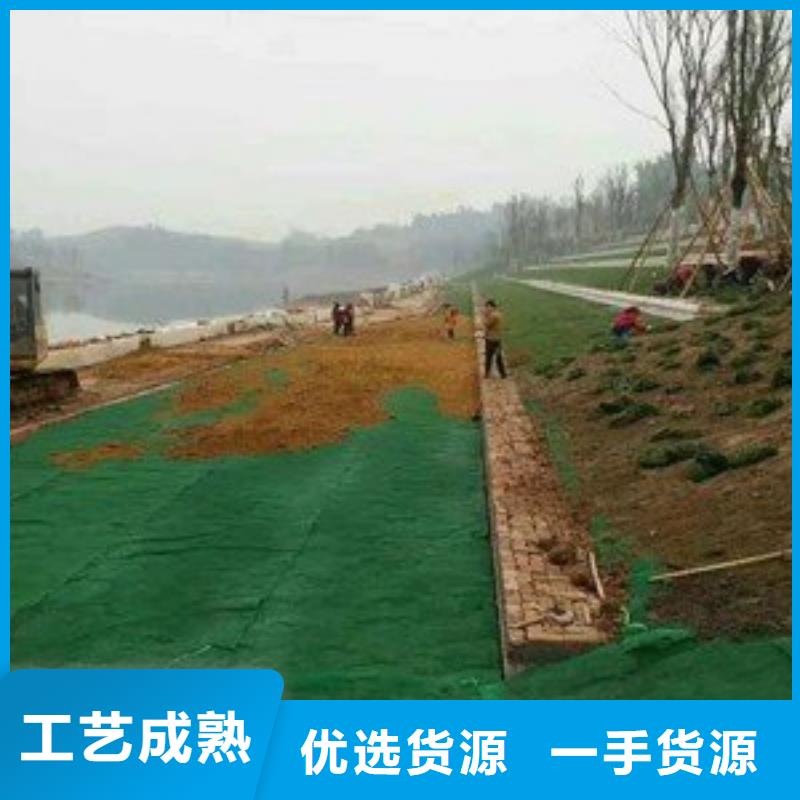 三维土工网垫_三维植被网有限公司报价