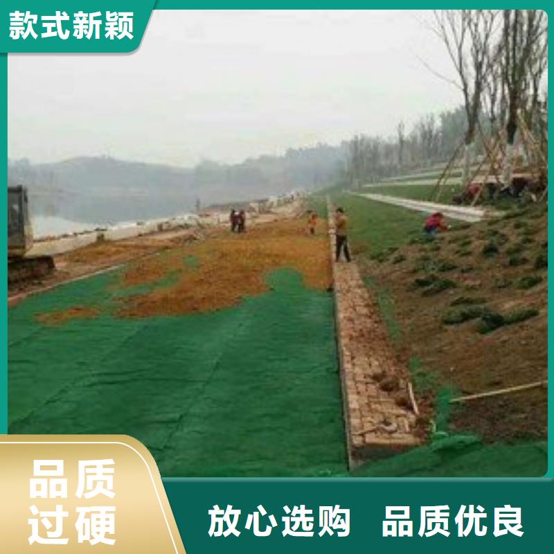 三维植被网垫生产商家厂家地址