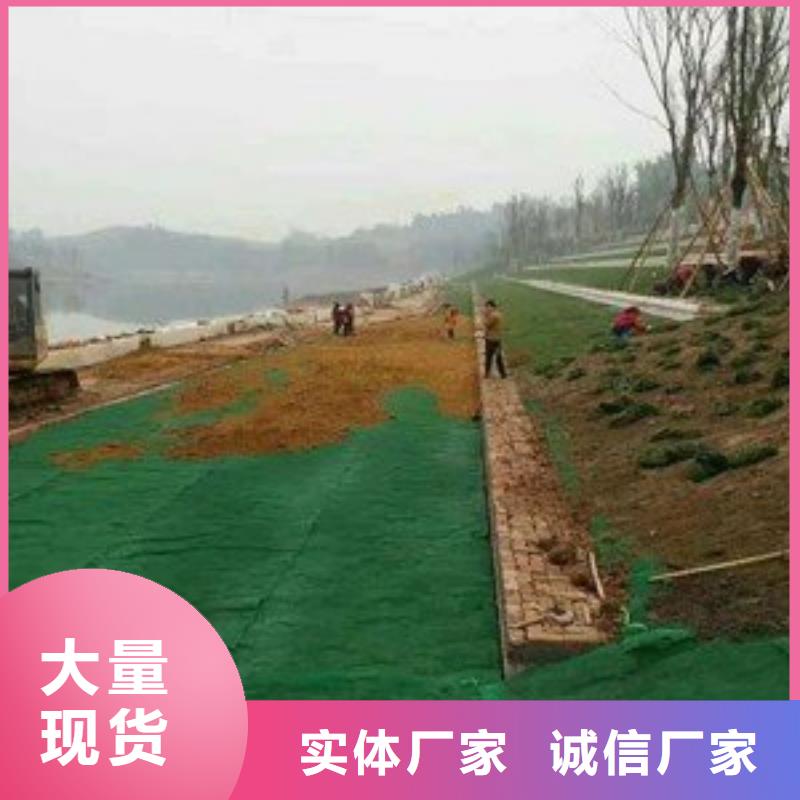 新型三维土工网垫规格性能参数