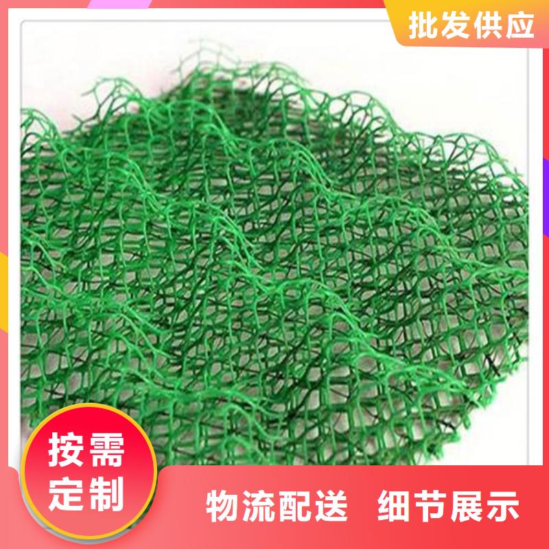 三维植被网硬式透水管快捷物流