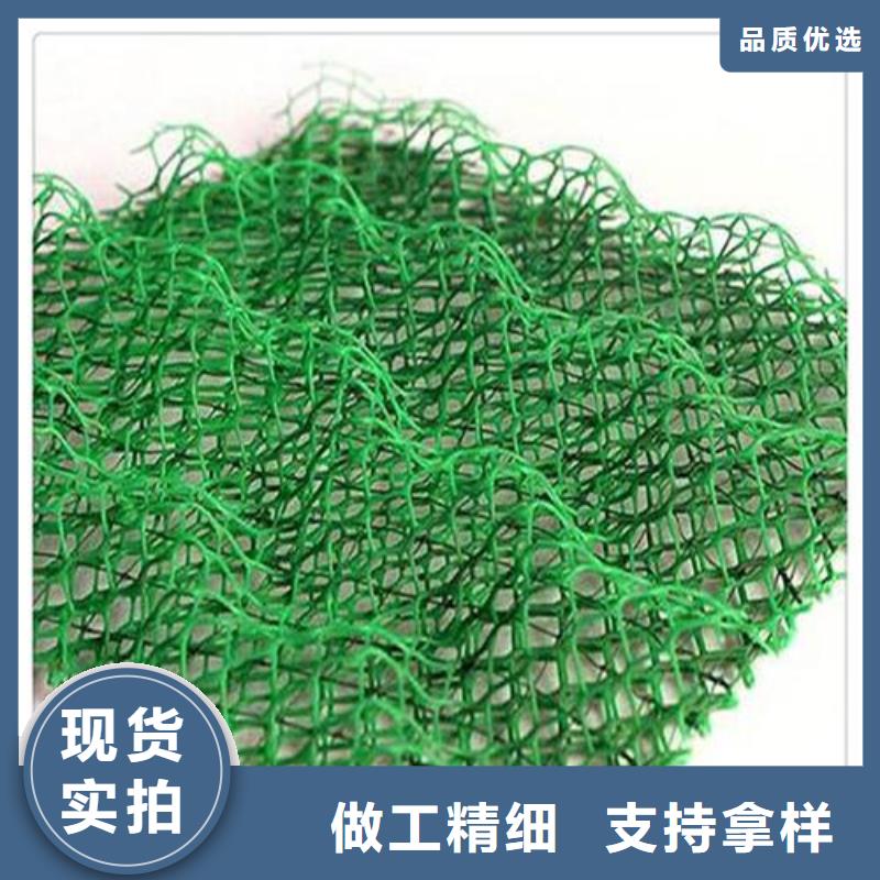 三维植被网护坡价格——批发厂家