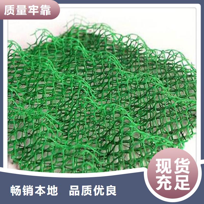三维植被网土工布价格质检合格发货