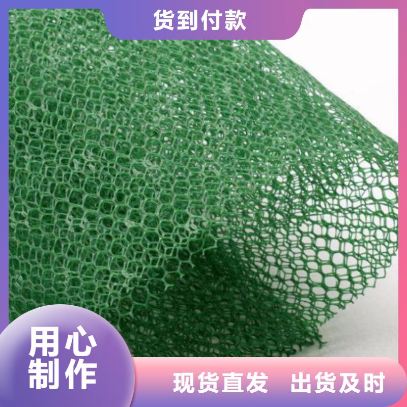 三维植被网垫生产商家厂家地址