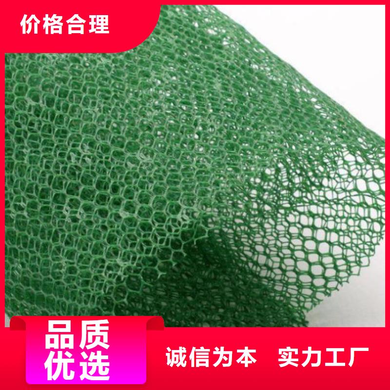 三维植被网-玻璃纤维土工格栅厂家技术完善