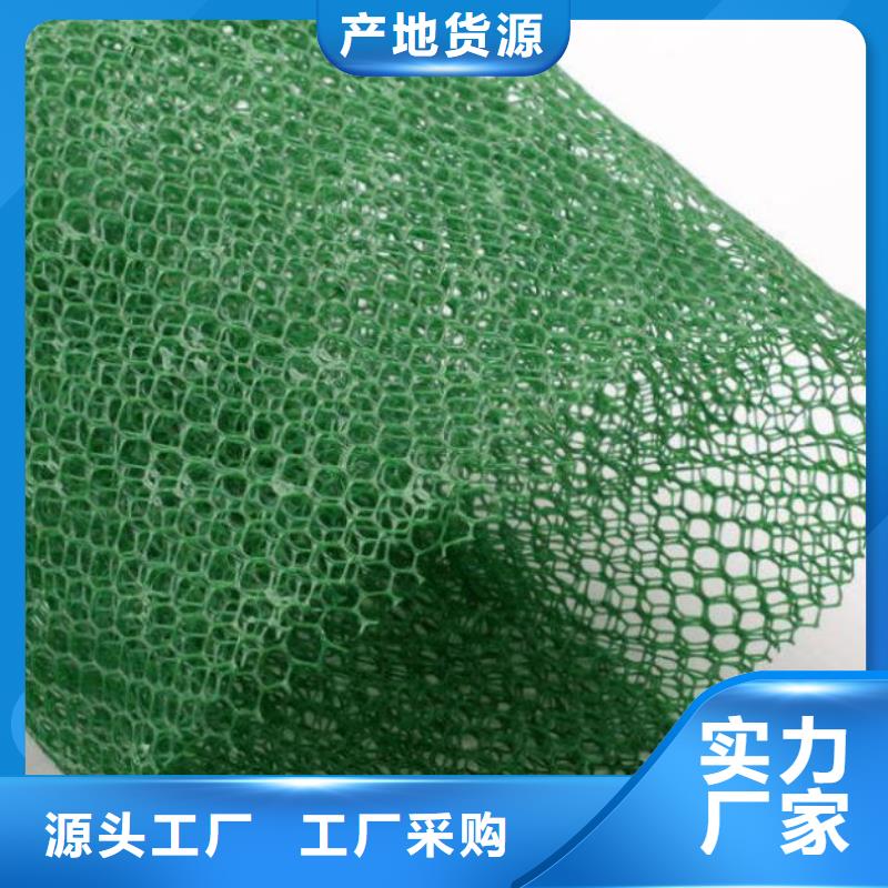 边坡防护三维植被网——集团公司-2025新行情