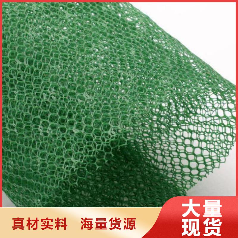 三维土工网垫_三维植被网有限公司报价