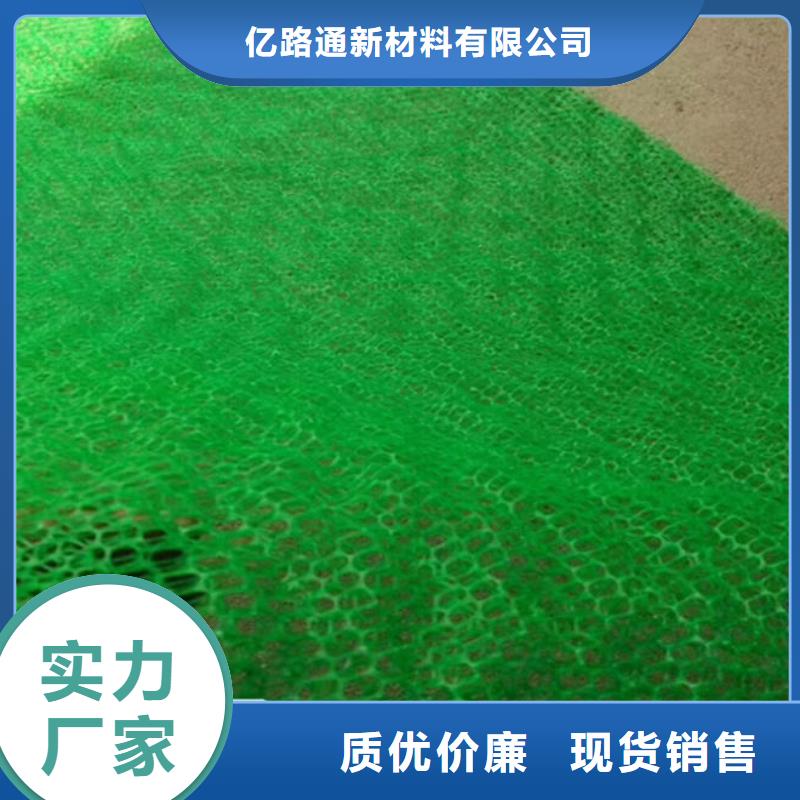三维植被网|三维网垫植草护坡|三维土工网垫厂家哪家好？